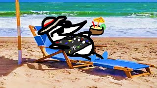 no video today, berd is on vacation