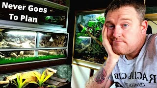 It Never Goes To Plan !.! The Most Useless Video You'll Ever See by NORTHERN EXOTICS 1,251 views 2 years ago 11 minutes, 42 seconds