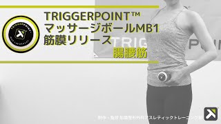 トリガーポイント™️ マッサージボール MB1 を使った腸腰筋の筋膜リリース方法