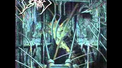 Defeated Sanity - Horrid Decomposition