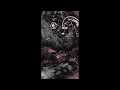 Downliners Sekt - This American Life (Official Video)