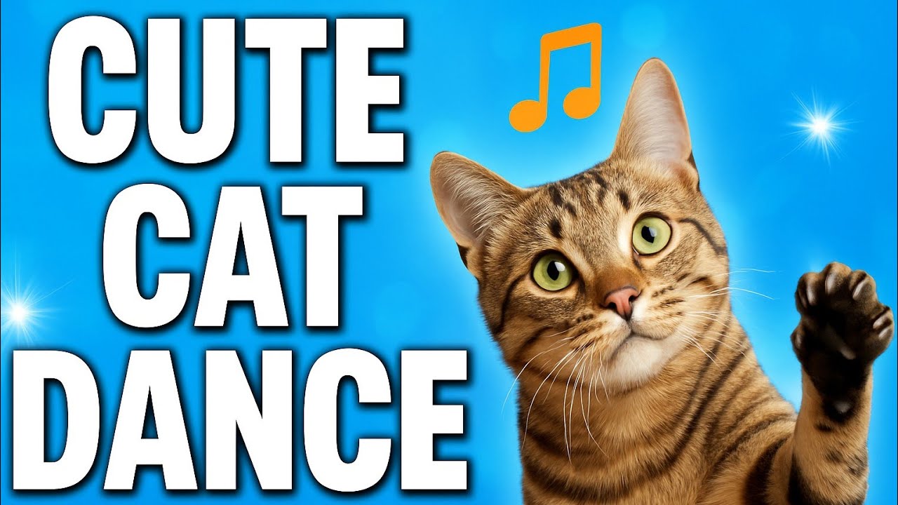 Cute Dancing Cat Video – Funny Cat Dance #funny #cat #dance - YouTube