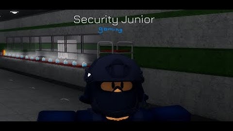 The SCI-Pathos iii Security Junior experience