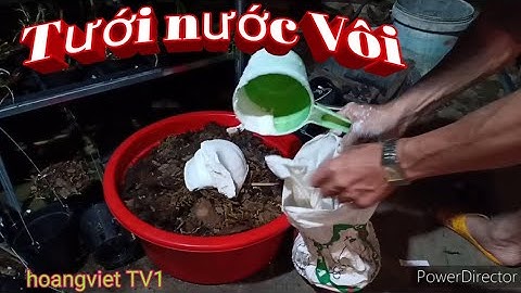 Tưới nước Vôi phòng bệnh cho Lan_ Vườn lan TV1