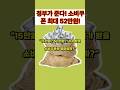 소비쿠폰 15만원부터 52만원까지! 당신은 얼마?