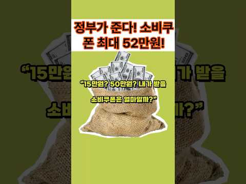 소비쿠폰 15만원부터 52만원까지! 당신은 얼마?