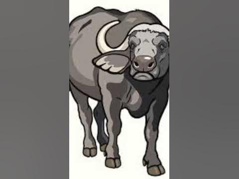 baffalo - YouTube