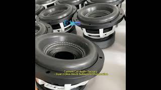 Custom car audio factory dual 2ohm 8inch subwoofer production
