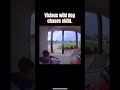 Vicious dog chases child. Captured on ring camera.