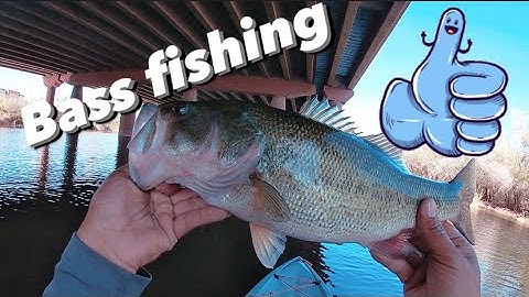 On THE search FOR Big BASS(Tempe TOWN lake)