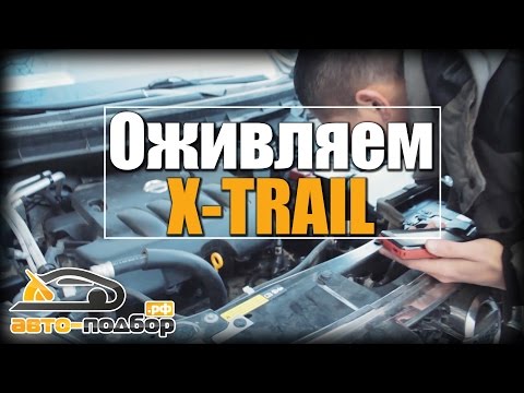 ОЖИВЛЯЕМ X-TRAIL | Гарантийный случай | ILDAR AVTO-PODBOR