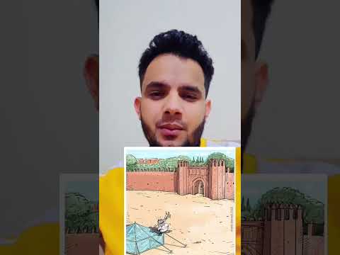 البربر ثورة الأشراف هشام بن عبد الملك قيس يمن بني أمية