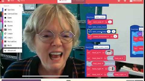 Elvis — a Flamboyant Snake in MakeCode Arcade