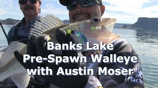 Banks Lake Pre Spawn Walley with Austin Moser