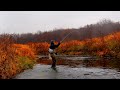 FLY FISHING DRIFTLESS REGION | WE FOUND SO MANY | TROUT FISHING IN THE FALL | Decorah, Iowa