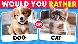 Would You Rather...? Animals Edition 🐶😺 Quiz Shiba