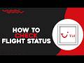 How To Check Flight Status On TUI Airways (Quick Tutorial)