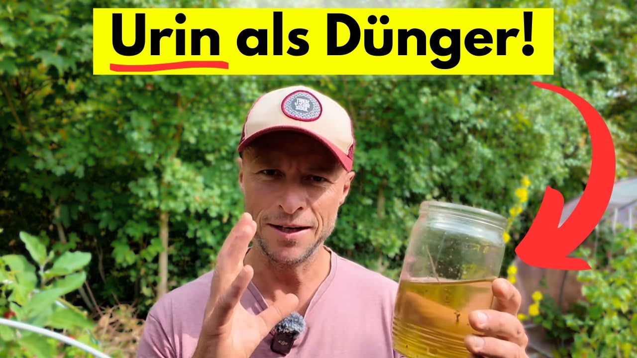 Dngen mit Urin   Wie funktioniert das und ist es wirklich sinnvoll?  (mit Mischverhltnis usw.)
