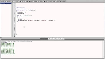 Java Programming: Loops