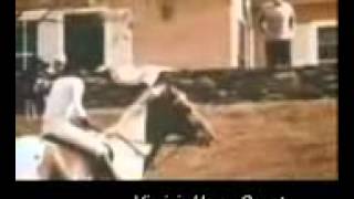 The Kennedy Family Virginia Horse County