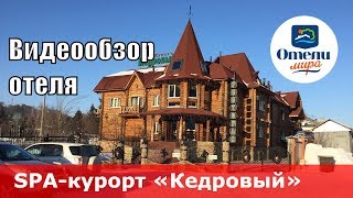 SPA-курорт «Кедровый» (Россия, Алтайский край, курорт Белокуриха). Обзор 2018