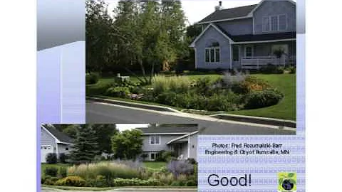 Green Infrastructure Opportunities Neil Weinstein