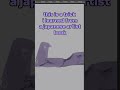 Last Athmosphere Perspective #animeartist #arknightsendfield #beginnerarttips #arttips #animeeart