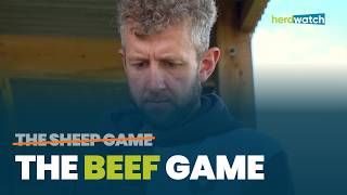 Farm Smart: The Sheep Game Is Branching Out — Cammy Wilson's New Love Affair With Cattle screenshot 5