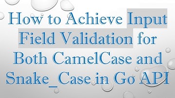 How to Achieve Input Field Validation for Both CamelCase and Snake_Case in Go API