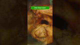 Best Way to Roast a Turkey
