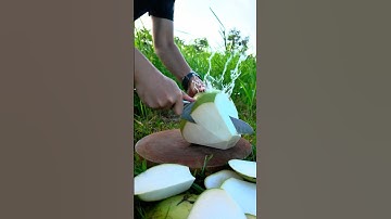 ASMR | Satisfying Coconut Peeling With a Razor-Sharp Knife! 🥥🔪 #asmr  #shorts #satisfying