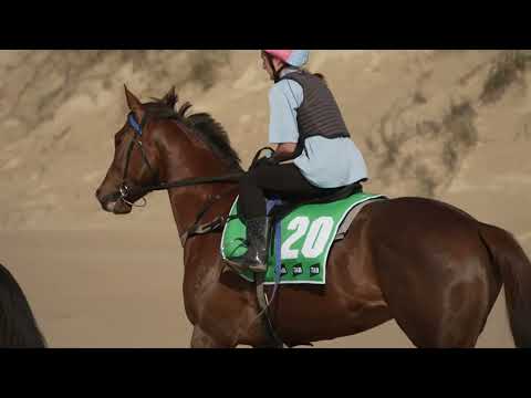 او هر روز کارهای بیشتری انجام می دهد      سفر به اورست