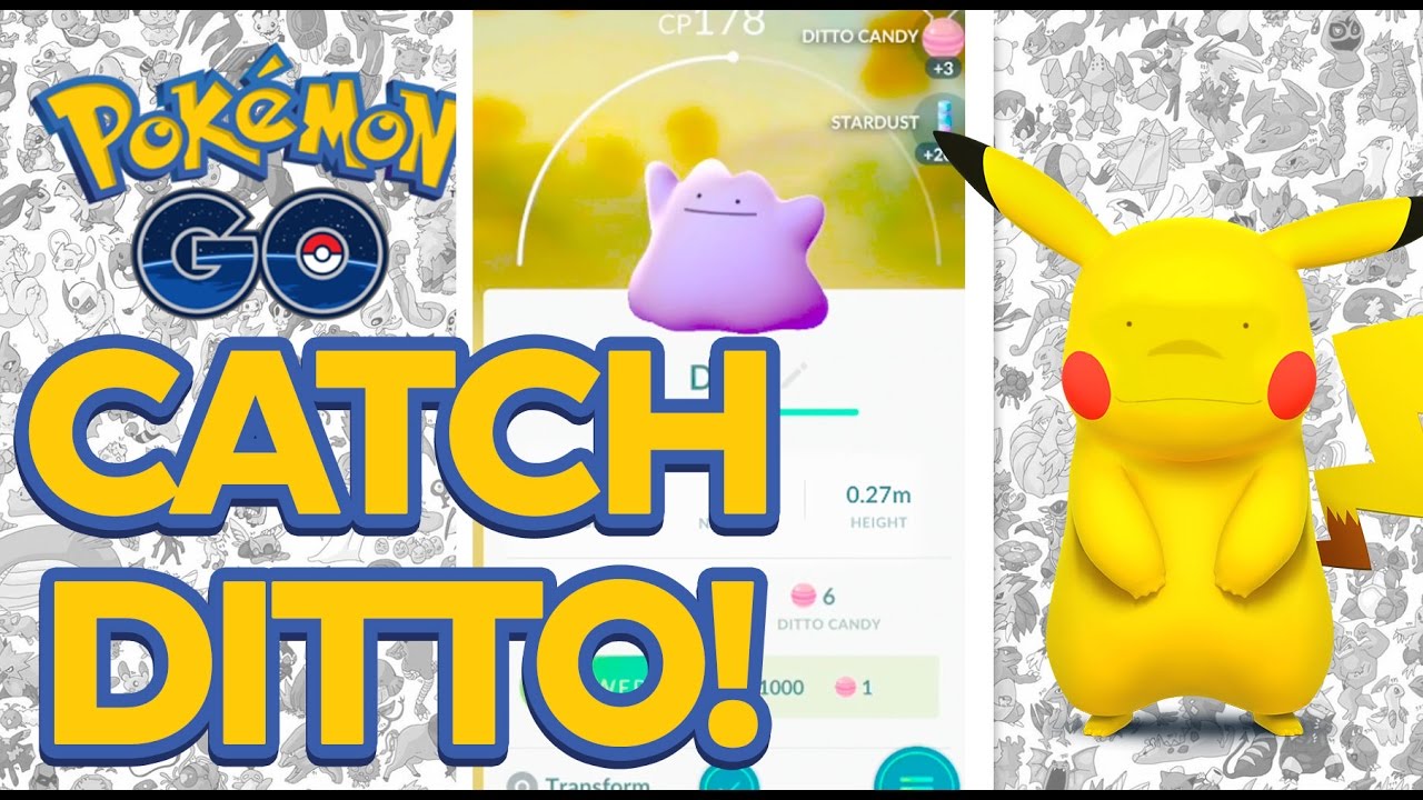 How to Catch Ditto Pokemon GO? Everything you Need to Know