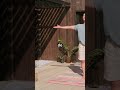 "¿El PARAÍSO tiene PUERTAS? 🗝️ (Apocalipsis)