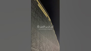 ﴿ عمَّ يتسَاءَلُونَ ﴾ سوره النبأ، عبدالرحمن مسعد #ارح_قلبك #قران_كريم