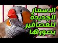 اسعار كل انواع العصافير بصورها هذا الاسبوع اسعار التداول الأربعاء ٢٤ابريل