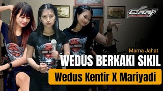 WEDUS KENTHIR X MARIYADI - MAMA JAHAT - CAAF MUSIC - BANTENGAN