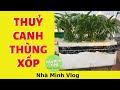 Trồng rau thuỷ canh tĩnh trên sân thượng/How to grow static hydroponic vegetables on the terrace