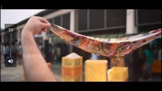 മമ്മുട്ടിയുടെ മാസ്സ് സീൻ/manglish malayalam movie