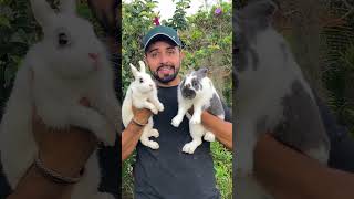 Namorado né ccCoelho