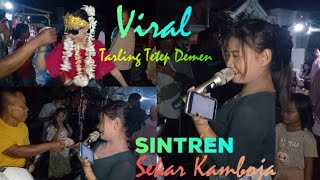 VIRAL!!! LAGU TARLING TETEP DEMEN Sintren Sekar Kamboja Pemalang | Fenomena Budaya yang Bikin Heboh