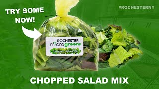 Chopped Salad Mix In Rochester NY by Rochester Microgreens 50 views 7 months ago 20 seconds