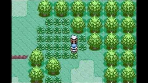 ASM POKEMON RUBY - Follow Me v.1.1