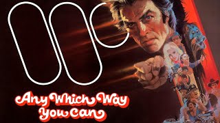 Celebrity Siskel & Ebert Review Any Which Way You Can (1980) Buddy Van Horn Net Worth