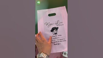 In túi hột xoài tốt nhất cho shop thời trang