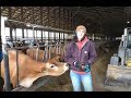 Virtual Farm Tour to a North East Dairy - Cow Comfort Inn Dairy - 11/14/18