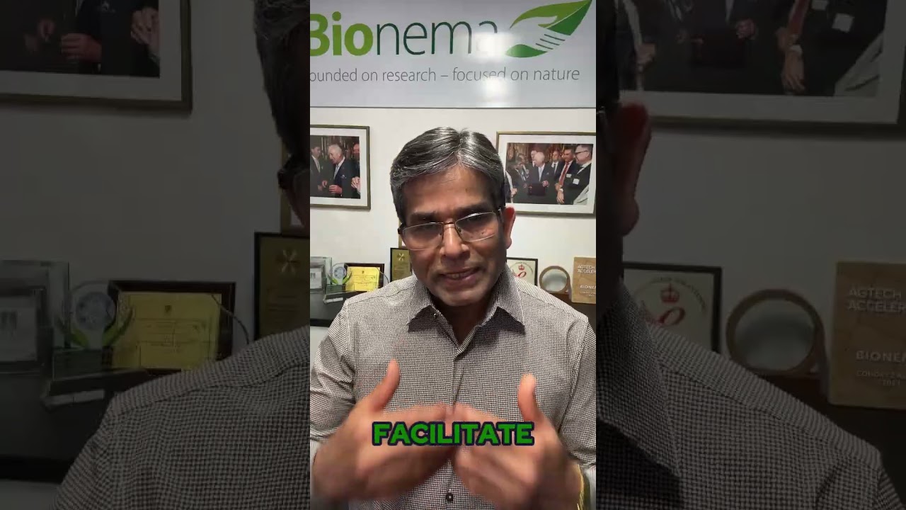 How Entomopathogenic Nematodes (EPNs) Can Replace Chemical Pesticides