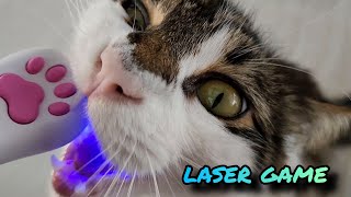 LASER GAME FOR CAT ! CRAZY LASERS ! screenshot 5