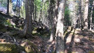 Flight Vlog #110 - Nice chill cruise around the forest (@ the cabin) - DJI Neo 2