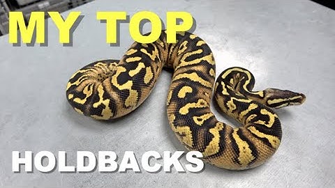 Crazy Hold Backs From Last Year !!